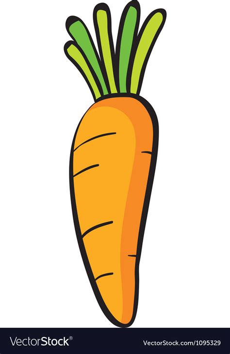 A Carrot Royalty Free Vector Image Vectorstock