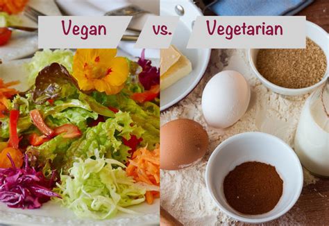 What Is The Difference Between A Vegan And A Vegetarian