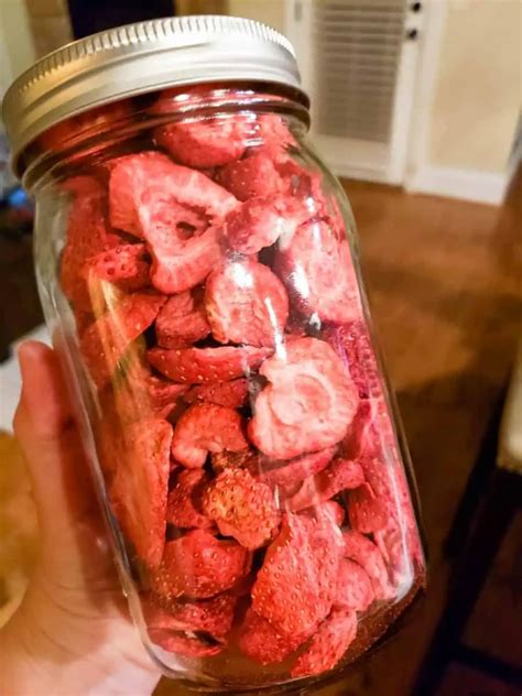 How To Make Freeze Dried Strawberries And How To Use Them Freeze Dry
