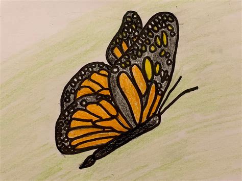Butterfly Butterfly Drawing Easy Butterfly Drawing My Xxx Hot Girl