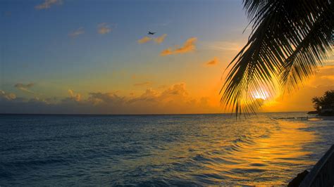 Download Wallpaper 2048x1152 Ocean Sunset Palm Beach
