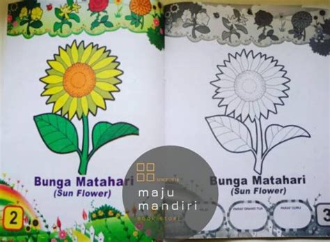 Buku Mewarnai Anak Paud Buku Mewarnai Anak Tk Paud Sd Best Seller
