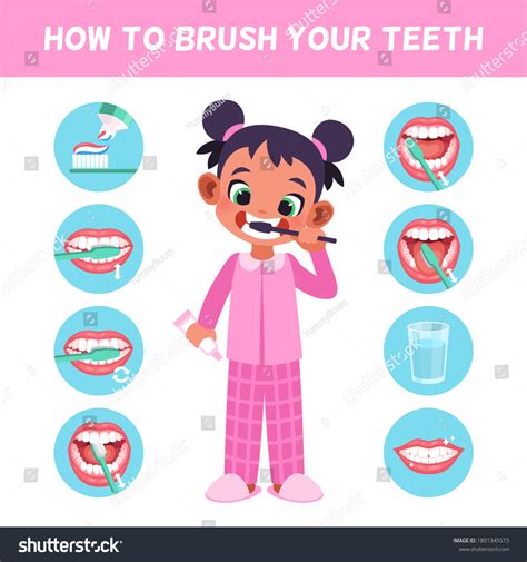 749 Instructions Brushing Teeth Images Stock Photos And Vectors