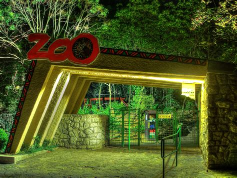 Filepecs Zoo At Night 2007 Wikimedia Commons