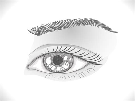 Acchanchangmin.deviantart.com/… this member have a few 4 or 6 tuto like this. How to Draw a Realistic Female Eye: 15 Steps (with Pictures)