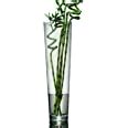 Very Large Clear Glass Tall Floor Standing Vase Large Glass Flower Vase