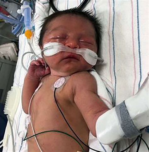 Police Track Down Mother Whose Newborn Was Left Naked Alone In Woods