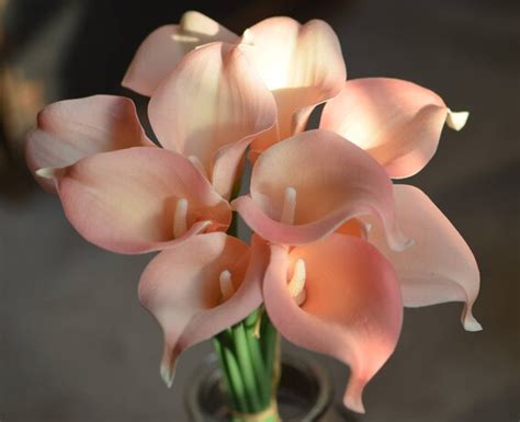 10 Blush Pink Calla Lilies Real Touch Flowers DIY Silk Wedding Etsy