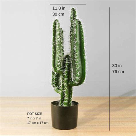 Kara Artificial Cactus Potted Plant 30 Exclusive At Artiplanto