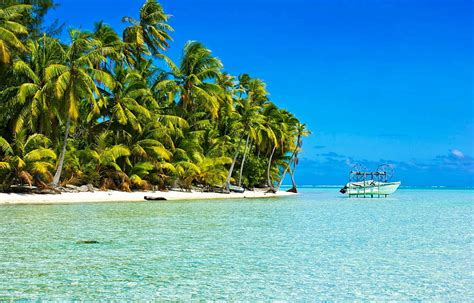 South Pacific Beach Island Sea Sand Tropical Exotic Paradise
