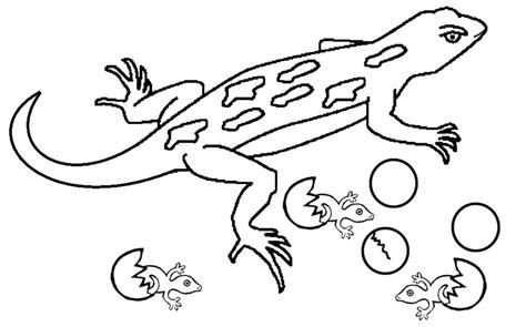 Gecko Coloring Pages - Best Coloring Pages For Kids