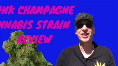 Pink Champagne Cannabis Strain Review Youtube