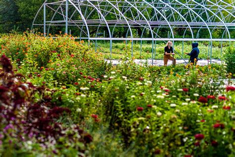 Lafarm Student Farmers Featured On Wfmz Tv · News · Lafayette College