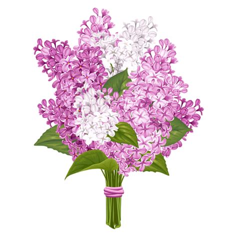 Svg File Free Lilac Flower Svg 128 File For Free