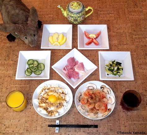 Dining With Seara Sea Rabbit Photograph By Dr Takeshi Flickr