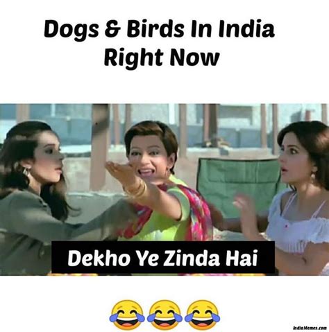 Dekho Yeh Zinda Hai Memes In Hindi