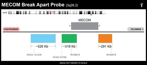 Mecom Tri Color Break Apart Fish Probe