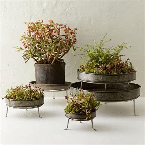 40 Easy And Unique Indoor Planters Ideas Plant Stand Garden Plant