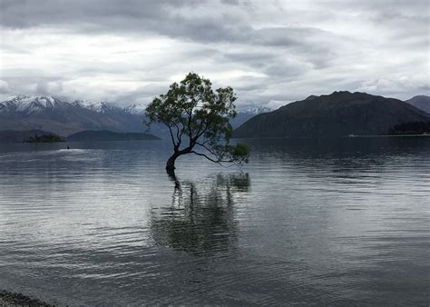 Visit Lake Wanaka On A Trip To New Zealand Audley Travel