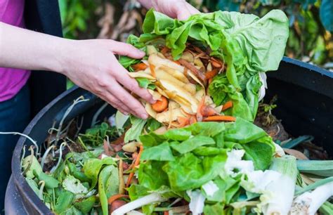Upcycled Food Might Be The Future Of Sustainability Peril And Promise Pbs