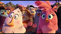 Angry Birds. La pel•lícula. T'agradarà sentir-la en català - YouTube