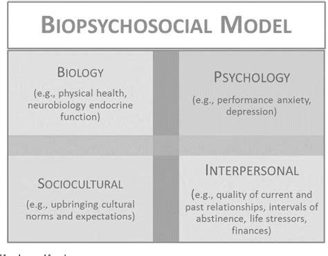 Pdf A Biopsychosocial Approach To Womens Sexual Function And Dysfunction At Midlife A