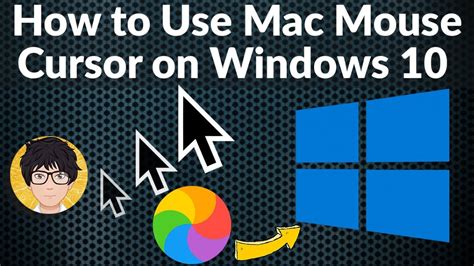 How To Use Mac Mouse Cursor On Windows 10 🔥🔥🔥 Youtube