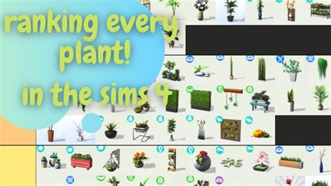 Ranking Every Plant In The Sims 4 And Meet My Plants Youtube