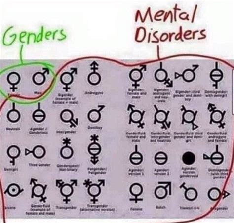 A Complete List Of Genders R Conservative