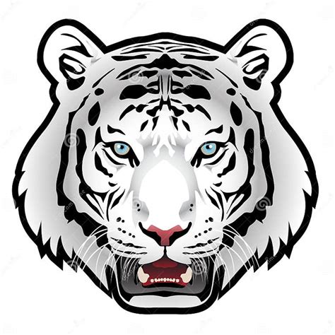 White Tiger Head On White Background Vector Stock Vector Illustration