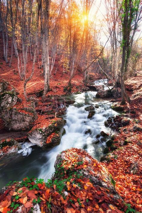 Beautiful Autumn Forest With River In Crimean Mountains At Sunse Stock