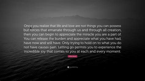 James Rozoff Quote “once You Realize That Life And Love Are Not Things