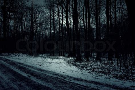 Spooky Snowy Road In The Forest Stock Photo Colourbox