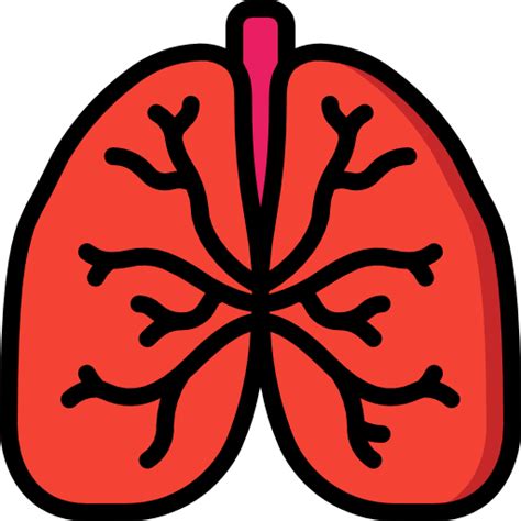 Página 5 Imágenes De Pulmones Silueta Descarga Gratuita En Freepik