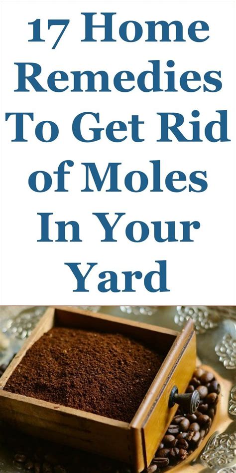 Jan 23, 2021 · surgical removal to surgically remove your mole, your dermatologist will numb the mole and surrounding skin, then cut out the mole with a scalpel. 17 Home Remedies To Get Rid Of Moles In Your Yard Fast ...