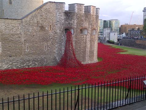 A Beautiful Moving Poppy Display At The Tower Of London