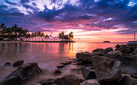 Nature Landscape Sunset Tropical Beach Clouds Sky Sea Palm