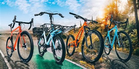 How do you feel about this restriction? How to choose the Right Bike for you? | Mountain | Cruiser ...