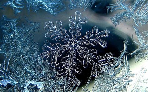 Hd Wallpaper White Snowflakes Shape Christmas Winter Blue