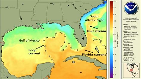 New Research Showing Link Between Florida Current And Pacific Ocean