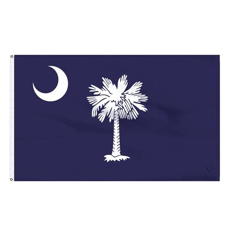 South Carolina Flag Global Prints