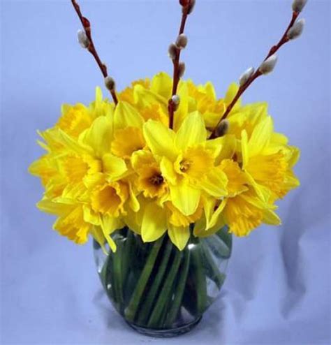 Daffodil Arrangements And Bouquet Ideas