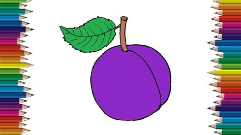 How To Draw A Plum Step By Step Plum Drawing Easy For Beginners With