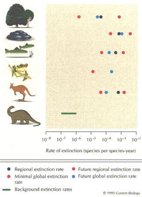 Extinction Rates Modern Extinctions In The Kilo Death Range Current