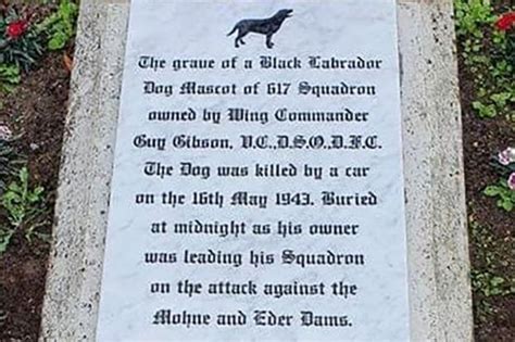 Dambusters Dog Grave Could Move Due To Raf Scampton Asylum Plan Bbc News