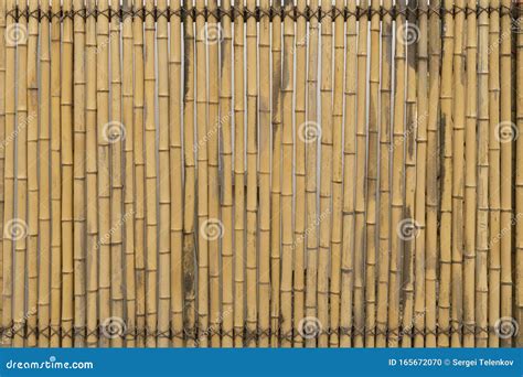 Bamboo Fence Texture Vertical Abstract Background Of Wooden Bamboo