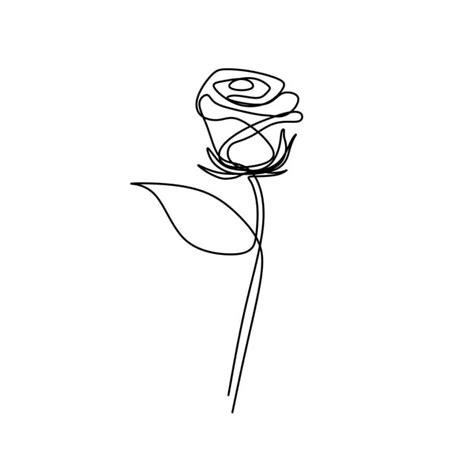 Single Rose Drawing Most Relevant Best Selling Latest Uploads