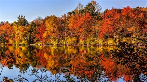 Fall Foliage Color Map When Do Fall Leaves Change In Your Area The