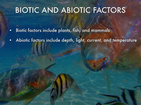 Ocean Ecosystem Biotic And Abiotic Factors