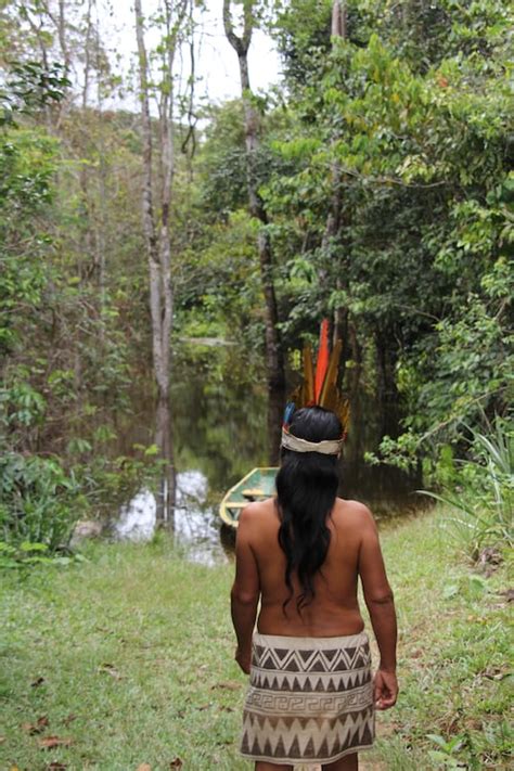 What Is The History Of Indigenous People In Brazil And What Are Their